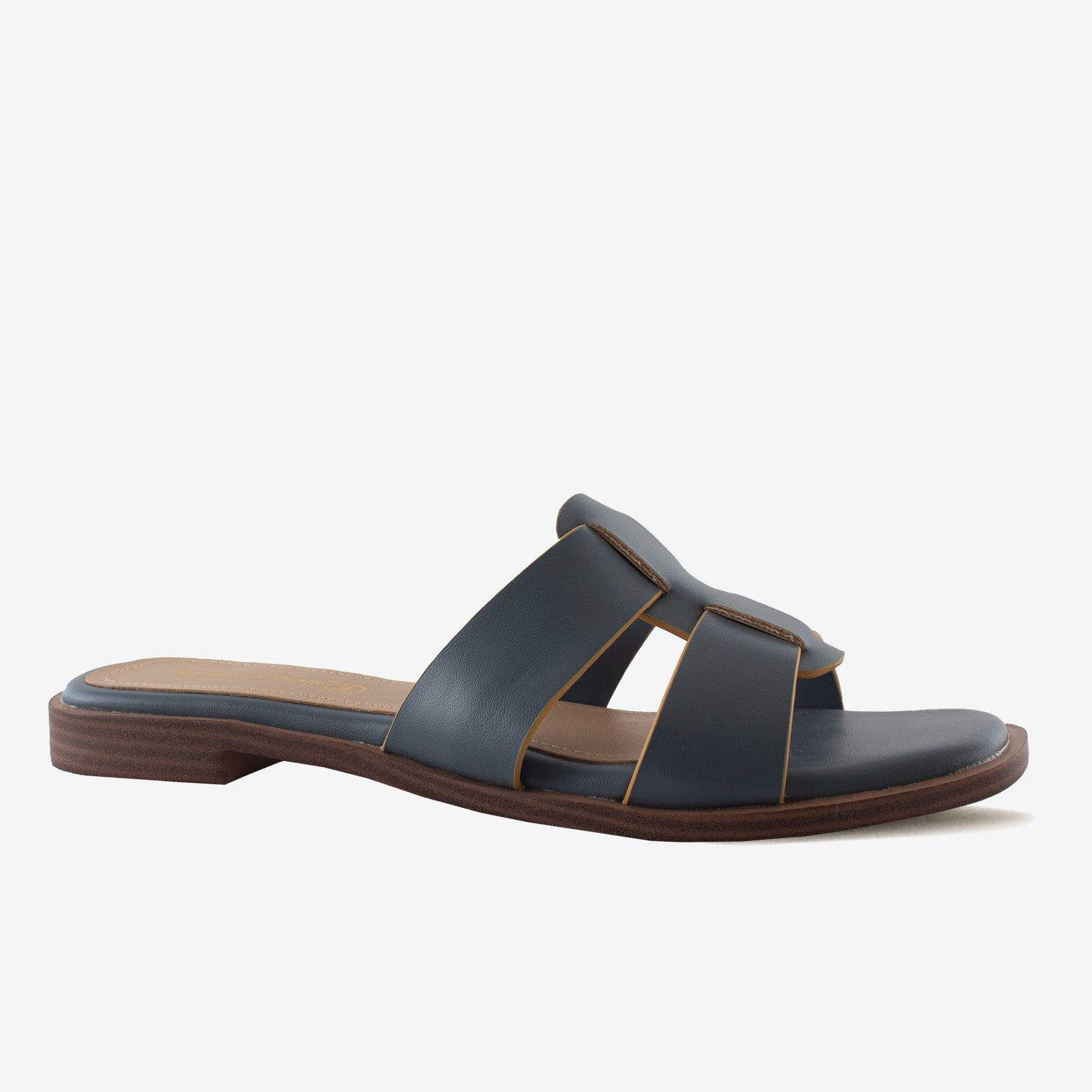 Schick a Walk Blue Strappy Slide Sandal For Women